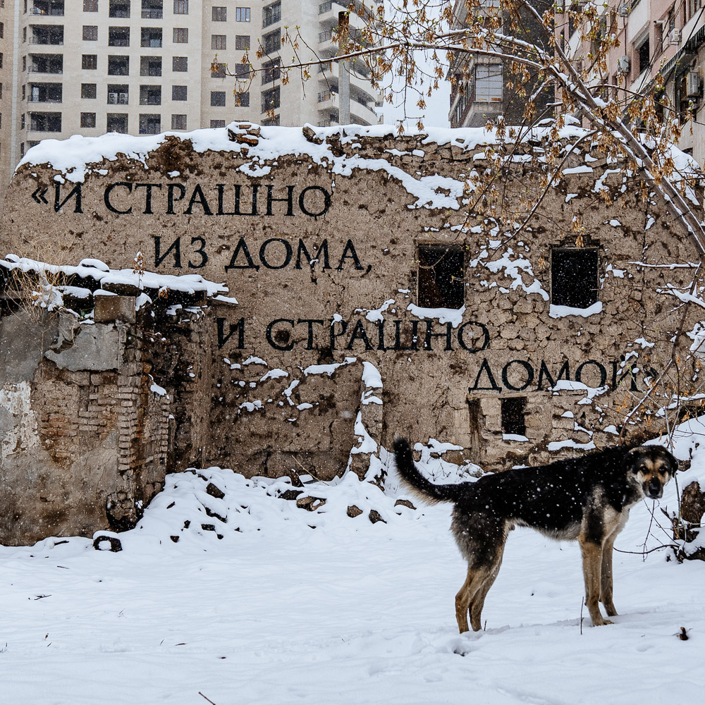 И страшно из дома, и страшно домой — Владимир Абих